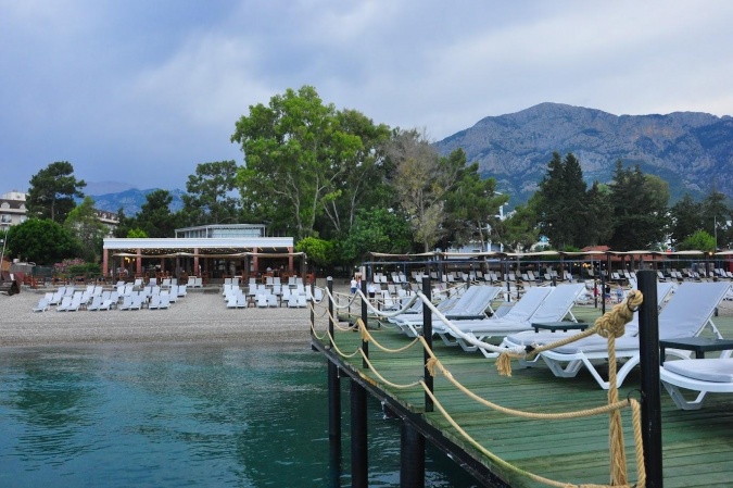 Palj Genel Görünüm