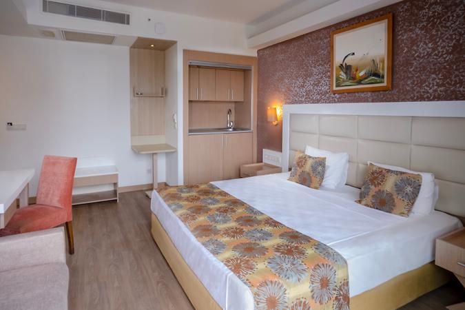 Standart Kara Manzaralı